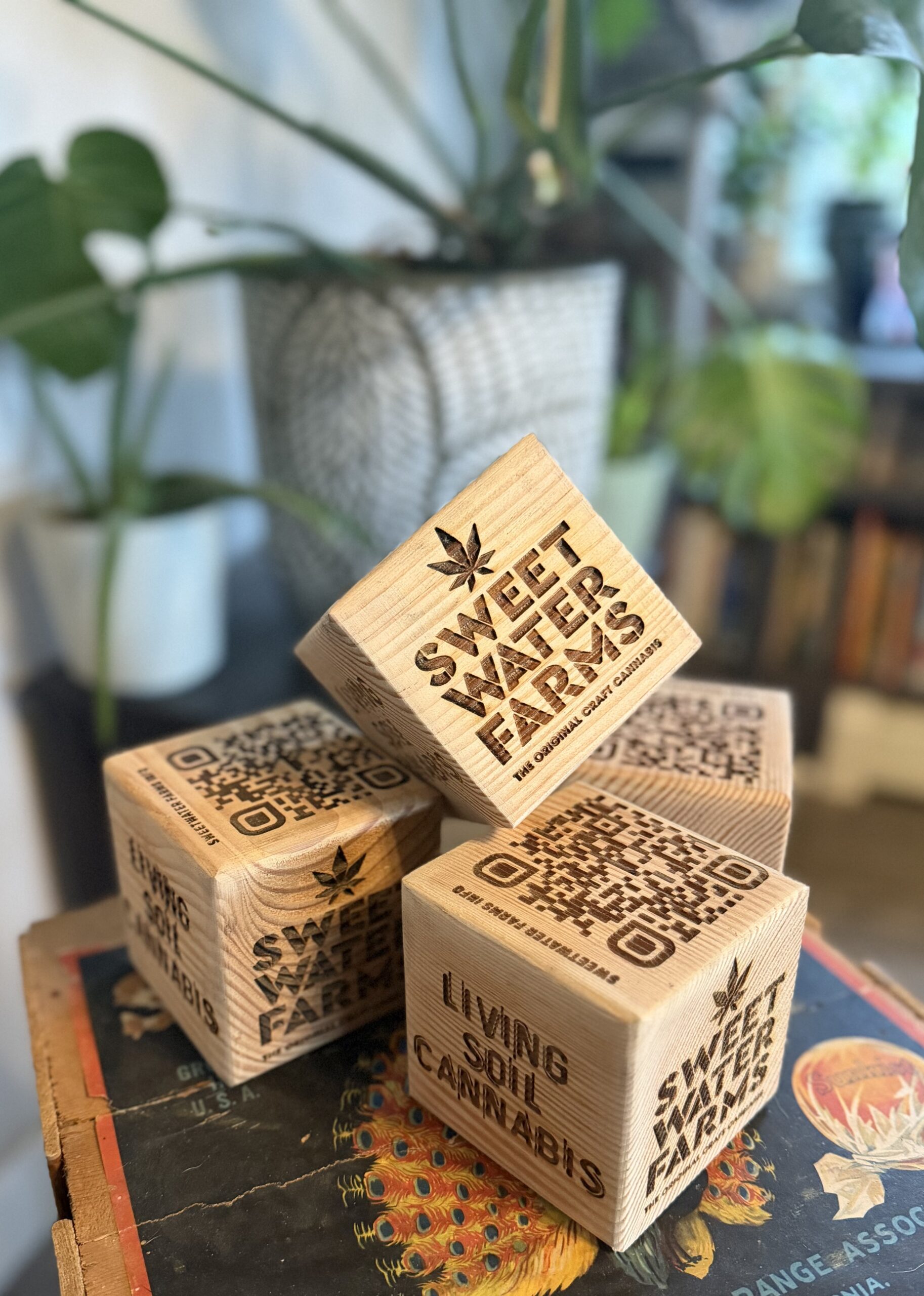 Sweetwater Wooden Blocks Sweetwater Farms Vendor Day at Dank’s Renton featuring living soil cannabis and premium craft strains.